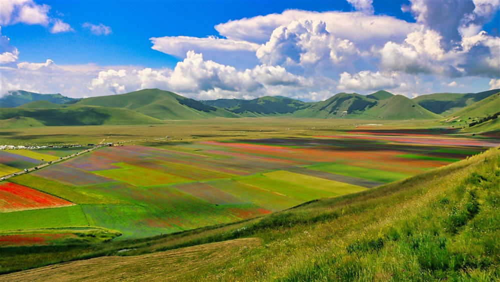 Castelluccio di Norcia, dove il coraggio fiorisce